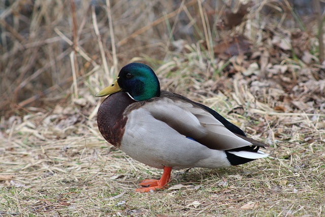 Krydsord for begyndere: Kom i gang med den perfekte strategi